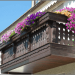 「ベランダ菜園アドバイザーW資格取得講座」でおいしい野菜作りをマスター