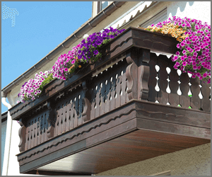 「ベランダ菜園アドバイザーW資格取得講座」でおいしい野菜作りをマスター