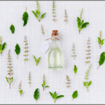 今注目の漢方・薬膳を資格講座で学ぼう！「漢方・薬膳W資格取得コース」